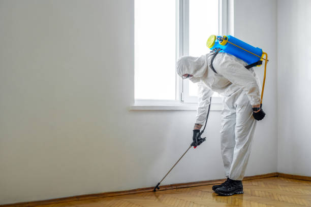 Best Pest Prevention Services  in Red Oak, TX